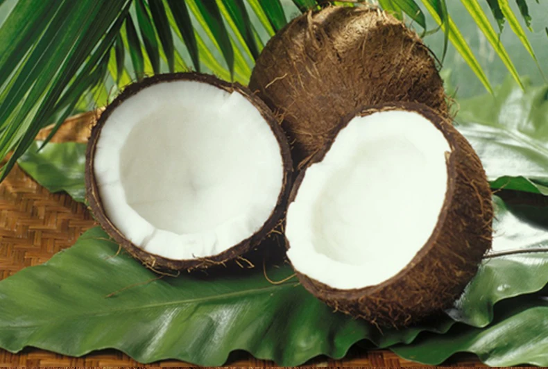 TB2x6hgjtBopuFjSZPcXXc9EpXa_!!2768959555