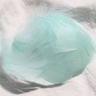 Light Blue Green 100
