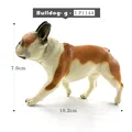 Bulldog- g