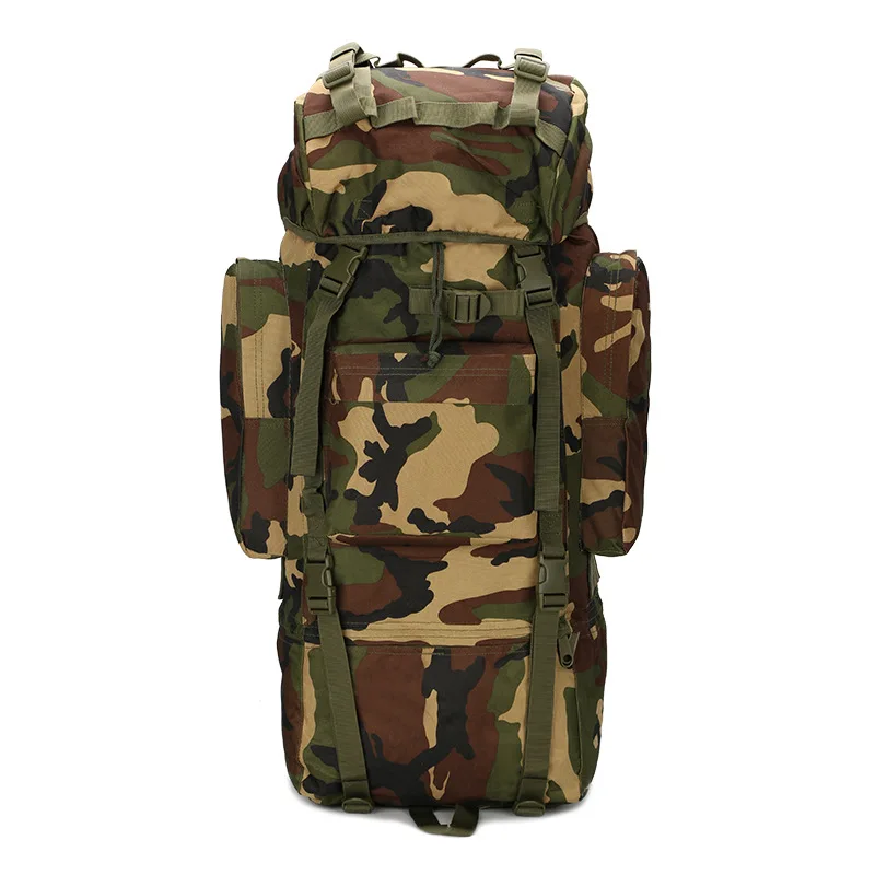 

Mountaineering Outdoor Backpack Industry Walking Mountaineering Bag Large Capacity 65L Large Bag Equipment