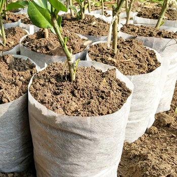 

5pcs Vegetable Potato Grow Bag with Handle Fabric Plant Seedling Pot Garden Tool for Home Garden Plant Transplanting