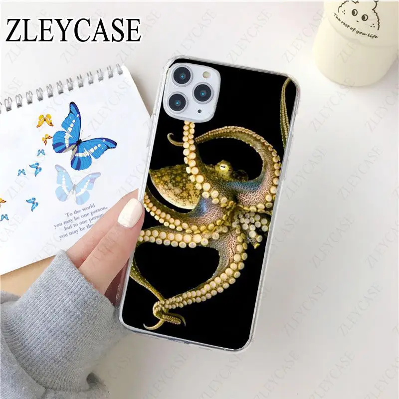 Tentacles of sea octopus