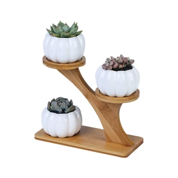 

1 Set Ceramic Garden Pots Modern Pumpkin Flowerpot Nursery Succulent Plant Pot 3 Bonsai Planters with 3-Tier Bamboo Shelf