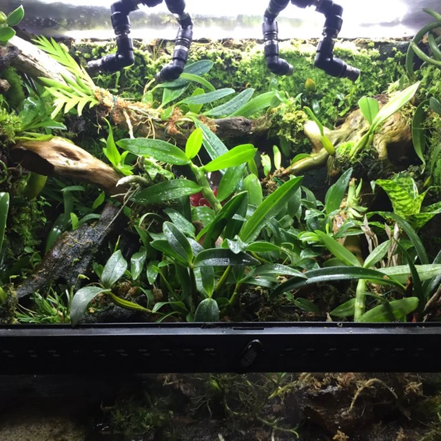 Hüllő Ködös Mister Gyors Összekötő Fúvóka Terrárium Páratartalommal Vivariums Hűtés Állítható (1Set/Pack) - Image 4