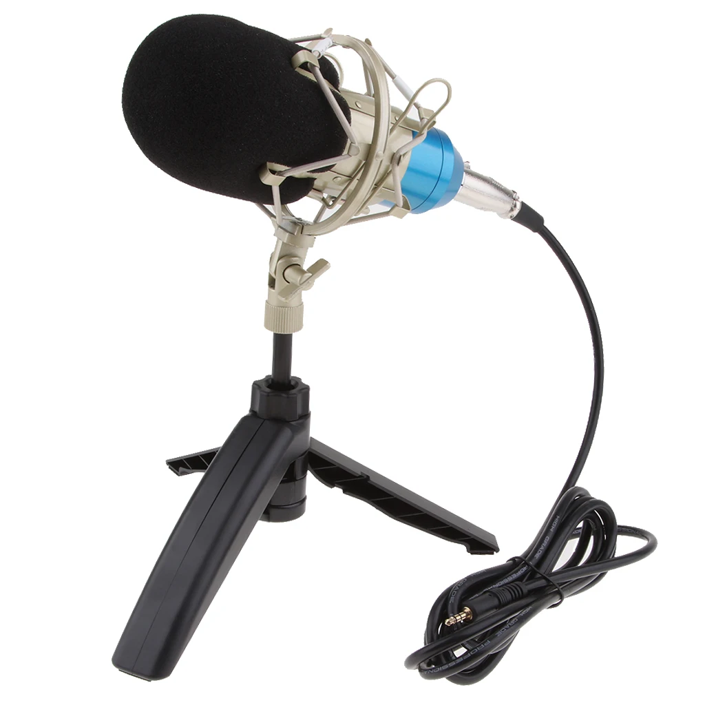 Condenser Recording Microphone Mic For Laptop MAC Or Windows Studio Recording Vocals Voice Over YouTube Microphone Mic 2020 New