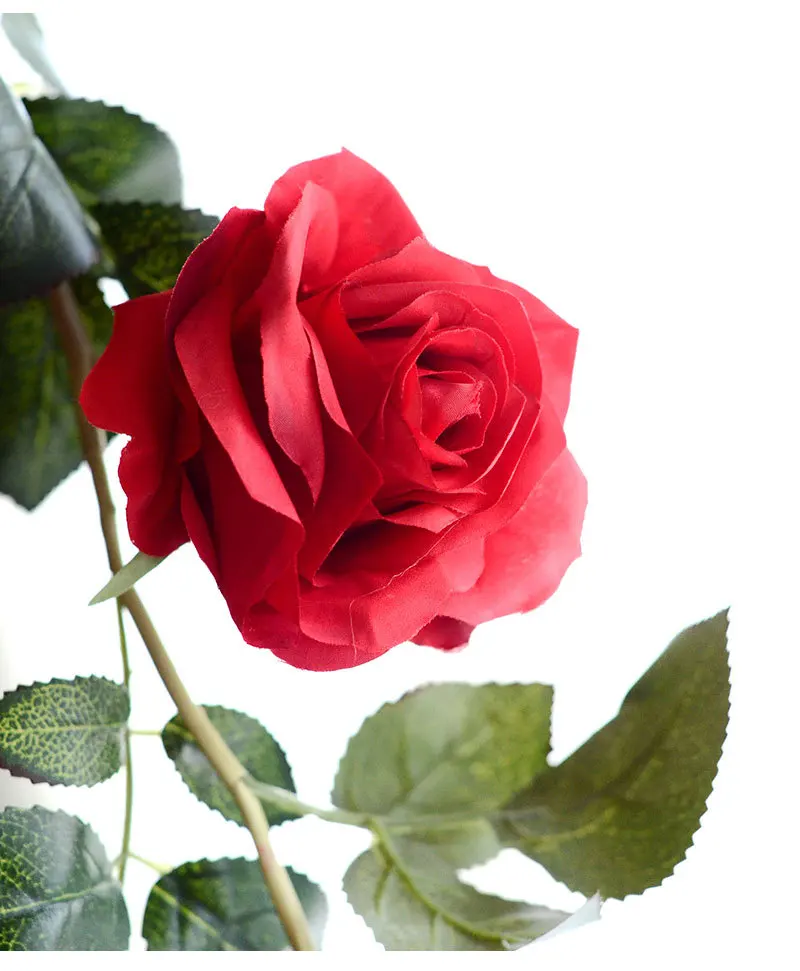 3645714516_1585245758