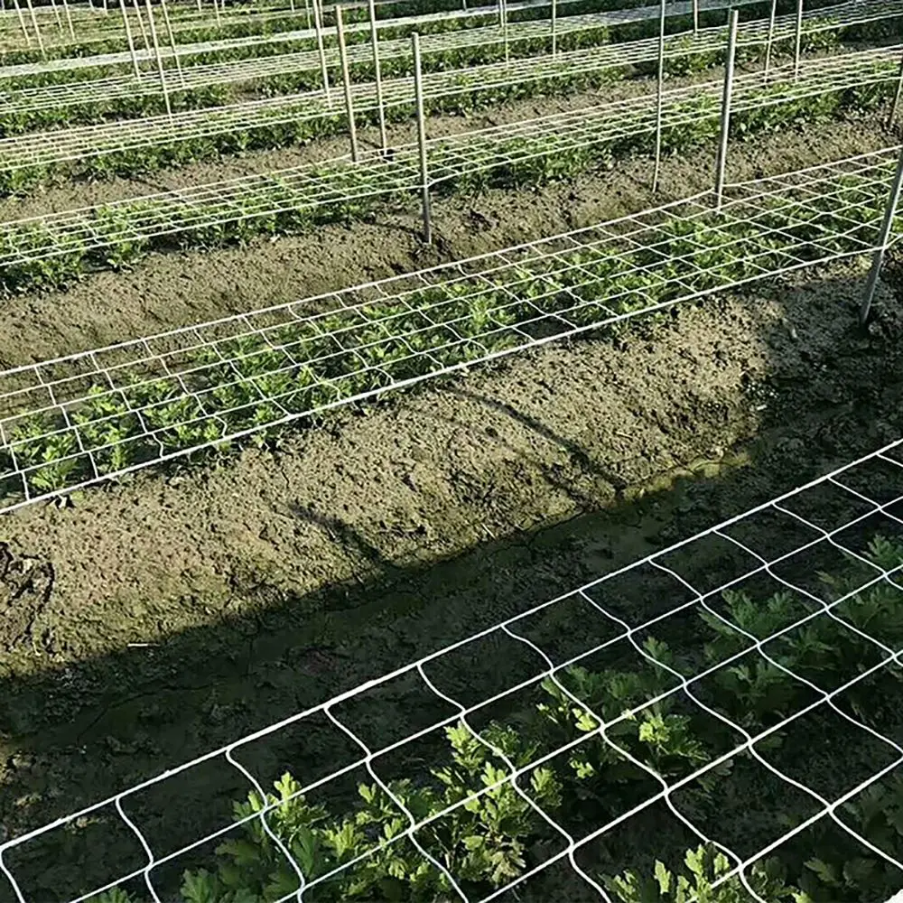 

Plant Climbing Net Mesh Flower Cucumber Plants Landing Net Frame Support Mesh Vine Trellis Netting Garden Scrog Net Plant Net