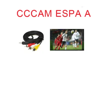 

2020 CCCAM ESPA A Spain CABLE AV CCCAM ESPA A OSN CCCAM ESPA A Poland and Germany cccam espa a France ESPA A for Europe Spain 8L