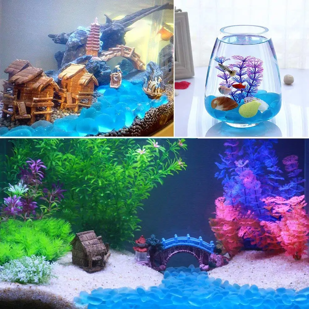 71hIvLEWQ1L._AC_SL1000_