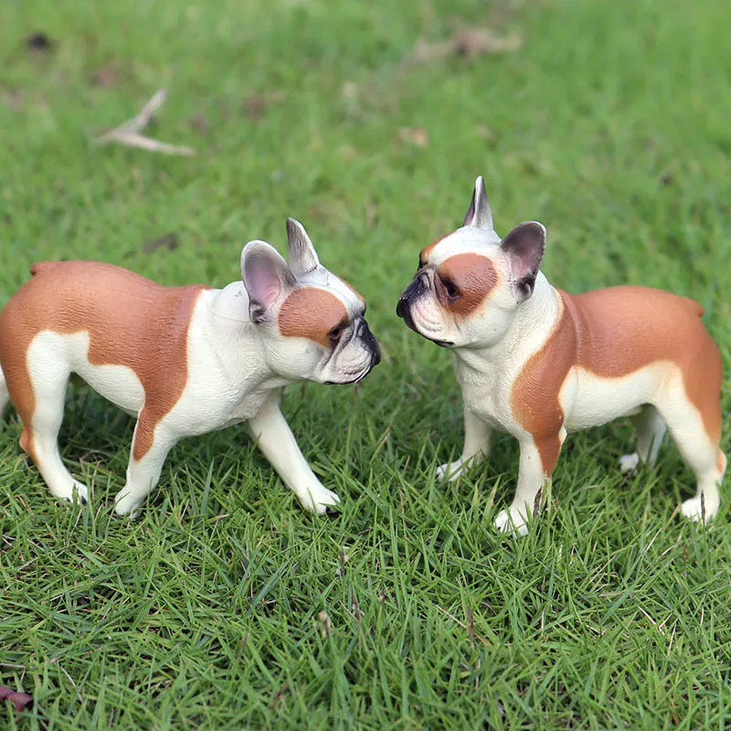 斗牛犬