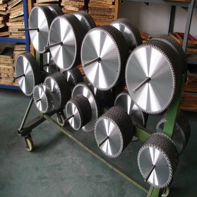 DSCI0691
