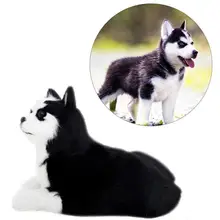 Jouet en peluche Husky de 19cm, poupée de chien noir et blanc, dessin animé, cheveux doux faits par l'homme, Figurine d'animal de compagnie pour enfants, cadeau