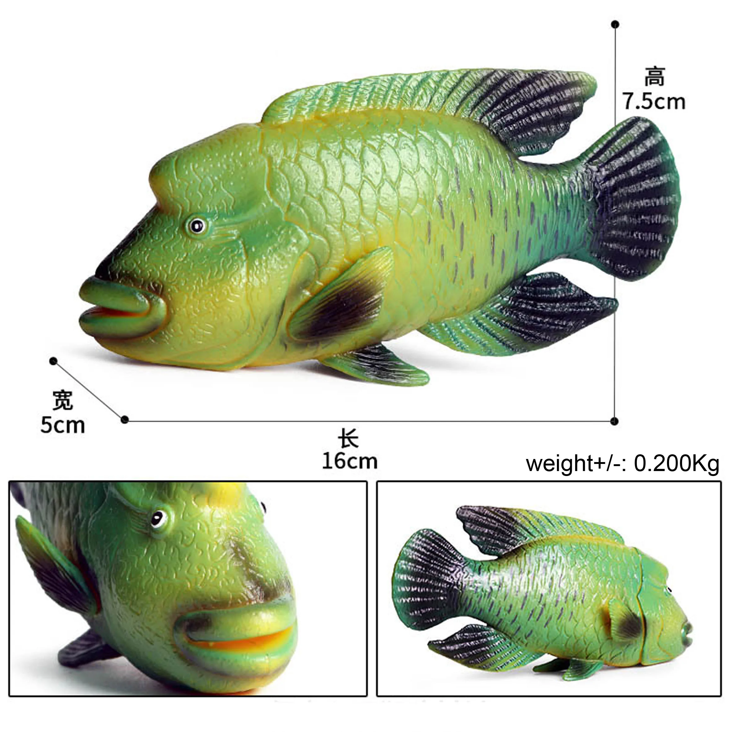 1 шт. яркий зеленый/красный однотонный яркий искусственный горб wrasse модель популярная детская морская рыба животные игрушки Необычные домашний декор милый подарок