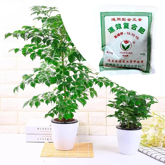 Mindenféle Virághoz És Fához Alkalmas Műtrágya Használatához - O5D5 Vegyület - Image 6