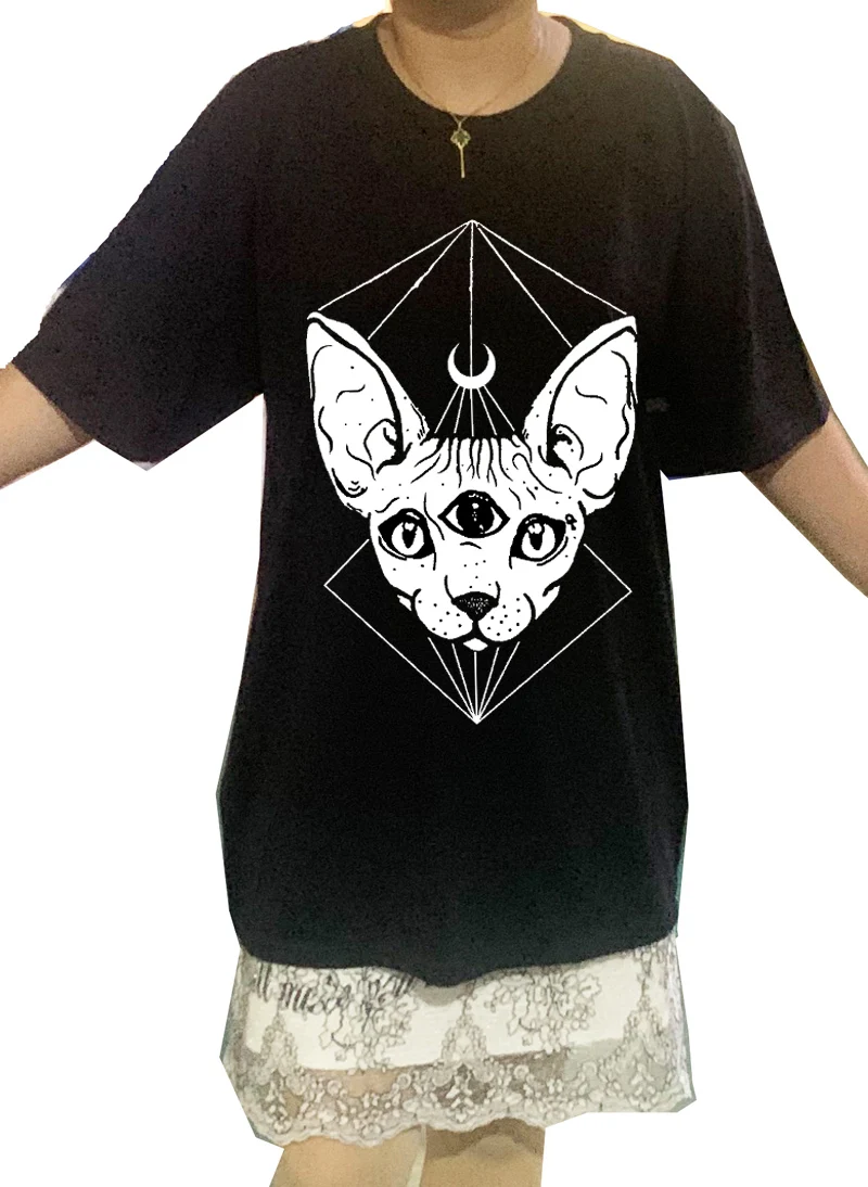 sphynx cat-斯芬克斯猫-1