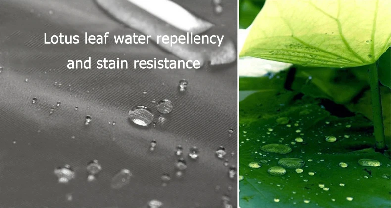 4019829944_1101723300