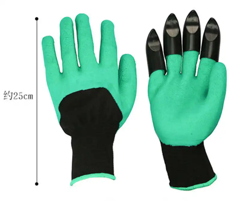 8944676638_762737415