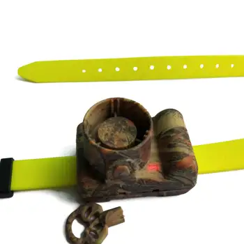 34212-edc189.jpg