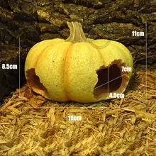 DishyKooker домашнее животное Тыква орех в форме раковины хиден пещера украшение для рептилий Змея скорпион