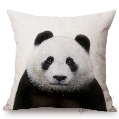 conew_t215 (8) 副本