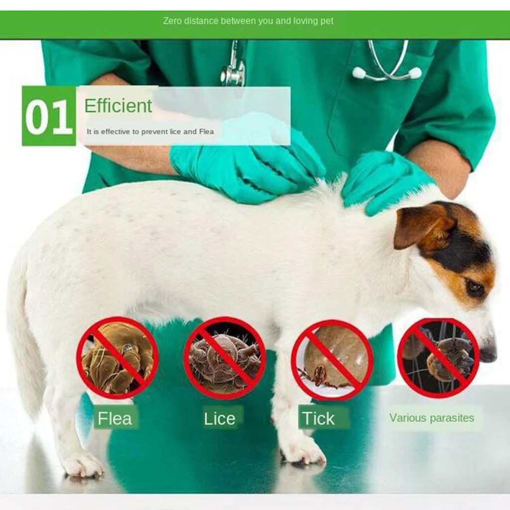 120ml Pet Insect Killer Spray Pets Dog Cat Anti-flea Drops Flea Lice Insect Killer Liquid Spray Puppy Treatment Liquid Spray