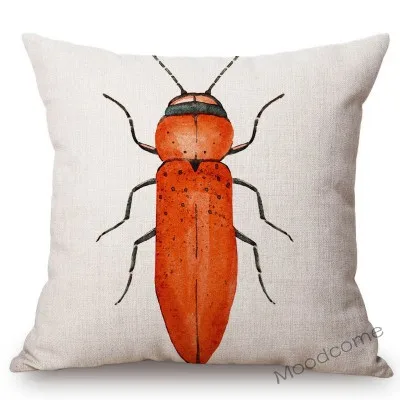 conew_n311 (8) 副本