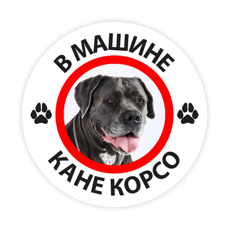 

B0233# Various Sizes SCane Corso In the Car Self-Adhesive PVC Decal Car Sticker Waterproof Auto Decors on Bumper Rear Window