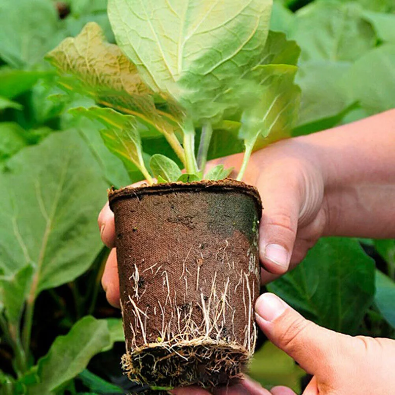 20 шт садовые растения кассеты для рассады биоразлагаемая бумага целлюлоза торф биоразлагаемые рассады поднятие чашки 8x8 см Садоводство высадка горшки