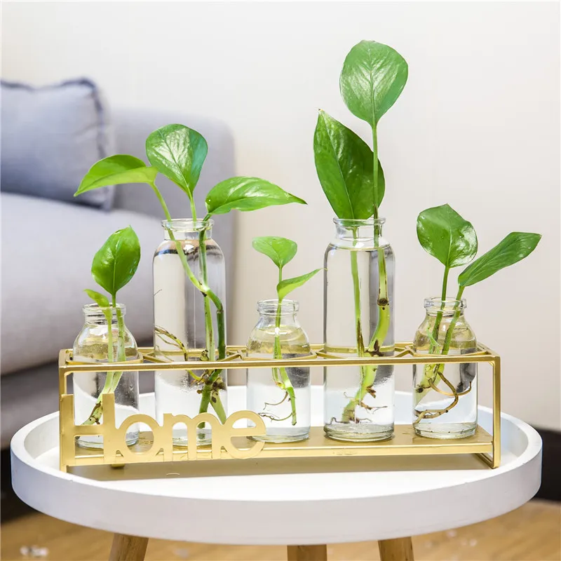 

Vase Glass Transparent Green Plant Water Culture Fresh Living Room Flower Arrangement Nordic Home Creative Decoration Pieces