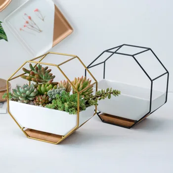 

Metal Rack Ceramic Planter Pot Simple Octagonal Geometric Wall Hanging Desktop Bamboo Black Gold Iron Tray Frame Set Home Decor