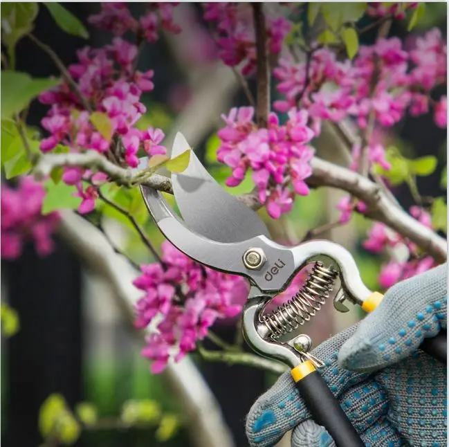 Slide image 92f88016c077459b990ec4927100c721