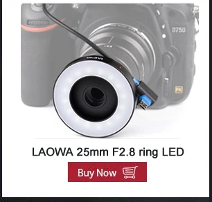 老蛙环形聚焦灯