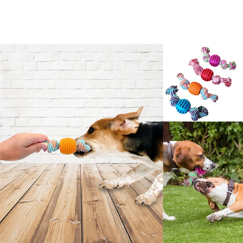 YIM91112003_0239221081217365291