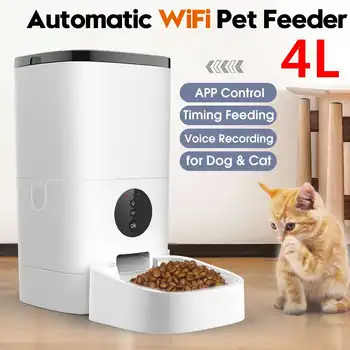 

Wifi/ Button Version 4L Pet Automatic Feeder APP Control Voice Recording Timing Pet Food Dispenser LCD Screen Dog Food Bowls