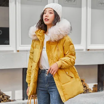 

Korean Style 2020 Winter Jacket Women Stand Collar Solid Female Down Coat Loose Oversized Womens Short Parka 006