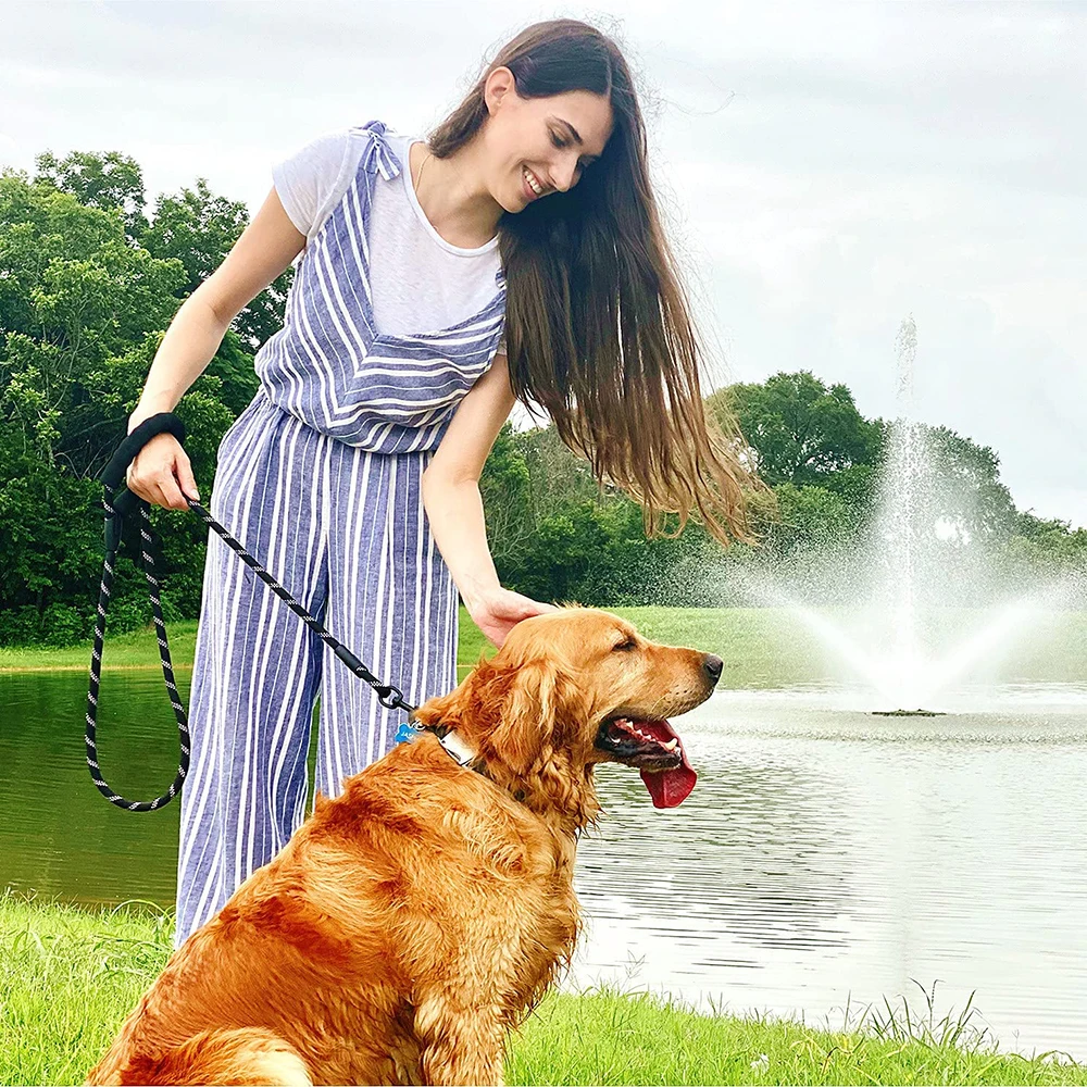 CenKinfo Strong Dog Leash ,Comfortable Padded Handle and Highly Reflective Threads Dog Accessories Puppy Supplies