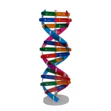 Jouet d'enseignement de la Structure à Double hélice ABS, modèles DNA, Kit de Test des sciences biologiques pour enfants