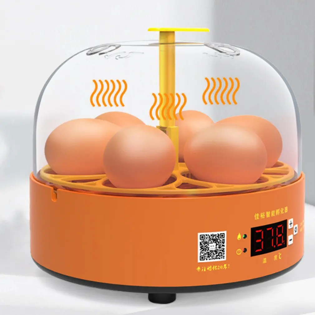 Мини инкубатор купить. Инкубатор Egg incubator 6 яиц. Инкубатор для яиц Egg incubator на 6 яиц. Мини-инкубатор для 6 яиц автоматический Брудер курицы. Инкубатор Mini Egg wz12 - 12v автоматический.