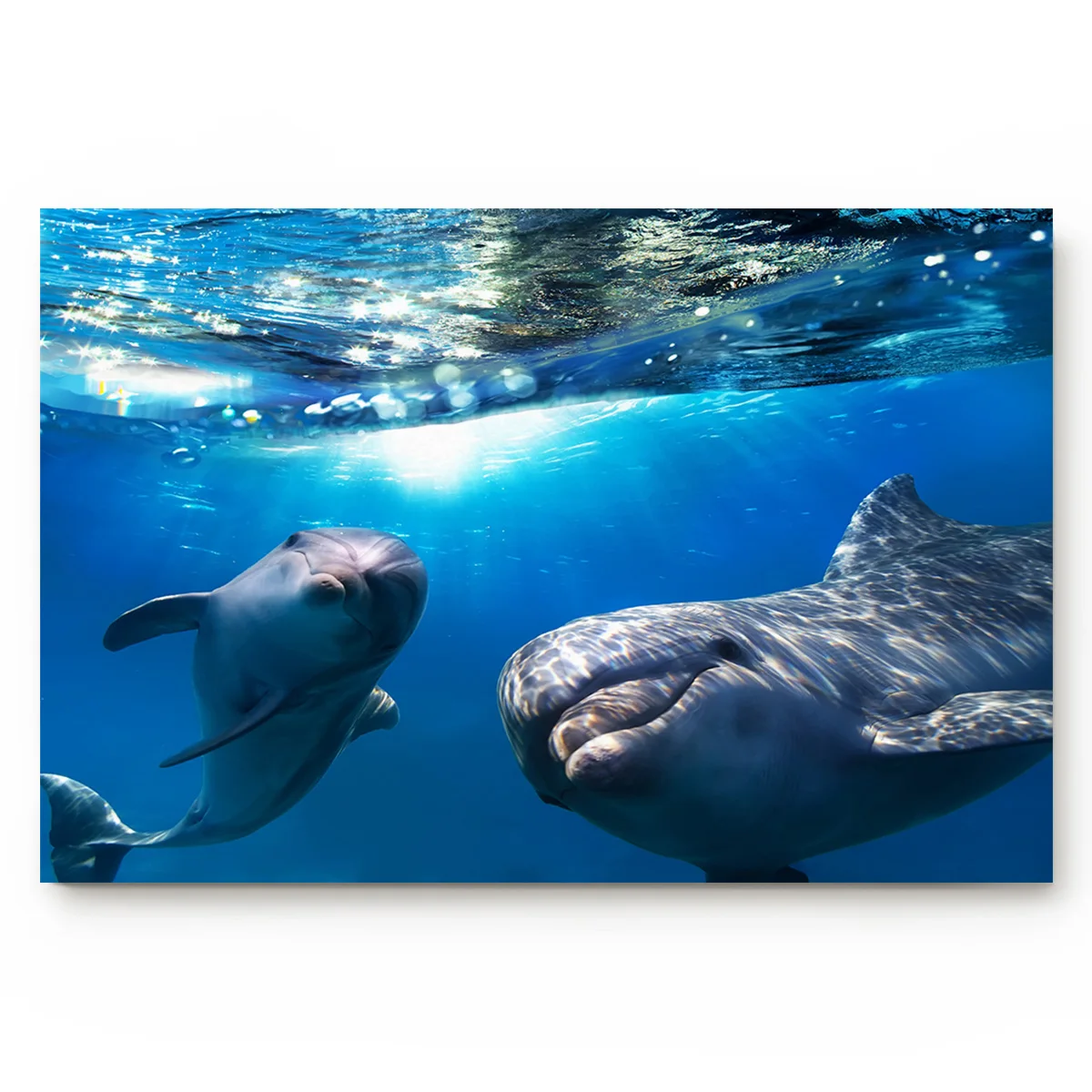 Животные Дельфин океан волна солнце облака нескользящий коврик аксессуары для