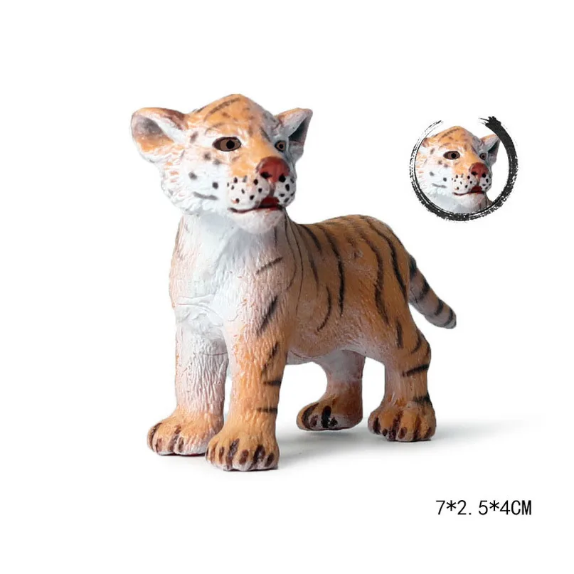 Милые Cub модель моделирования зоопарк дикой природы рисунок прекрасная