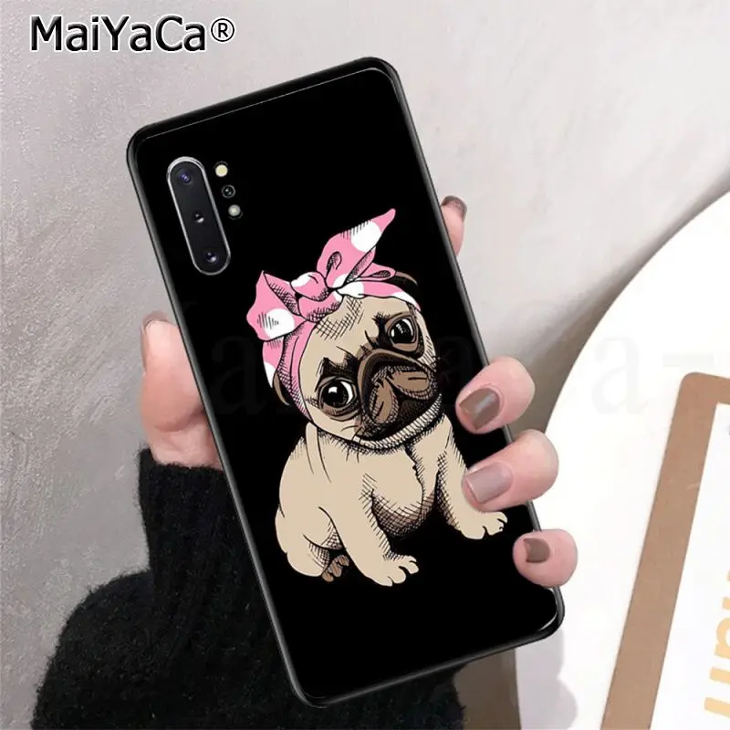 Frenchies Pretty puppy Pug Bulldog