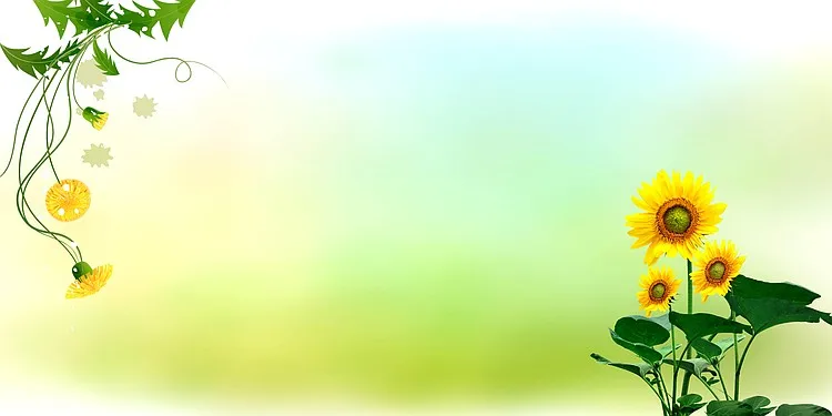 清新向日葵儿童台历海报背景模板背景图片素材免费下载 图片编号qegkrkaj Pngbag素材网