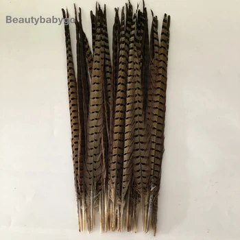 

Free Shipping 1000 Pieces Natural Ringneck Pheasant Tails Feather 50-55cm 20-22Inches Super Long Chicken Feathers Plume Carnival