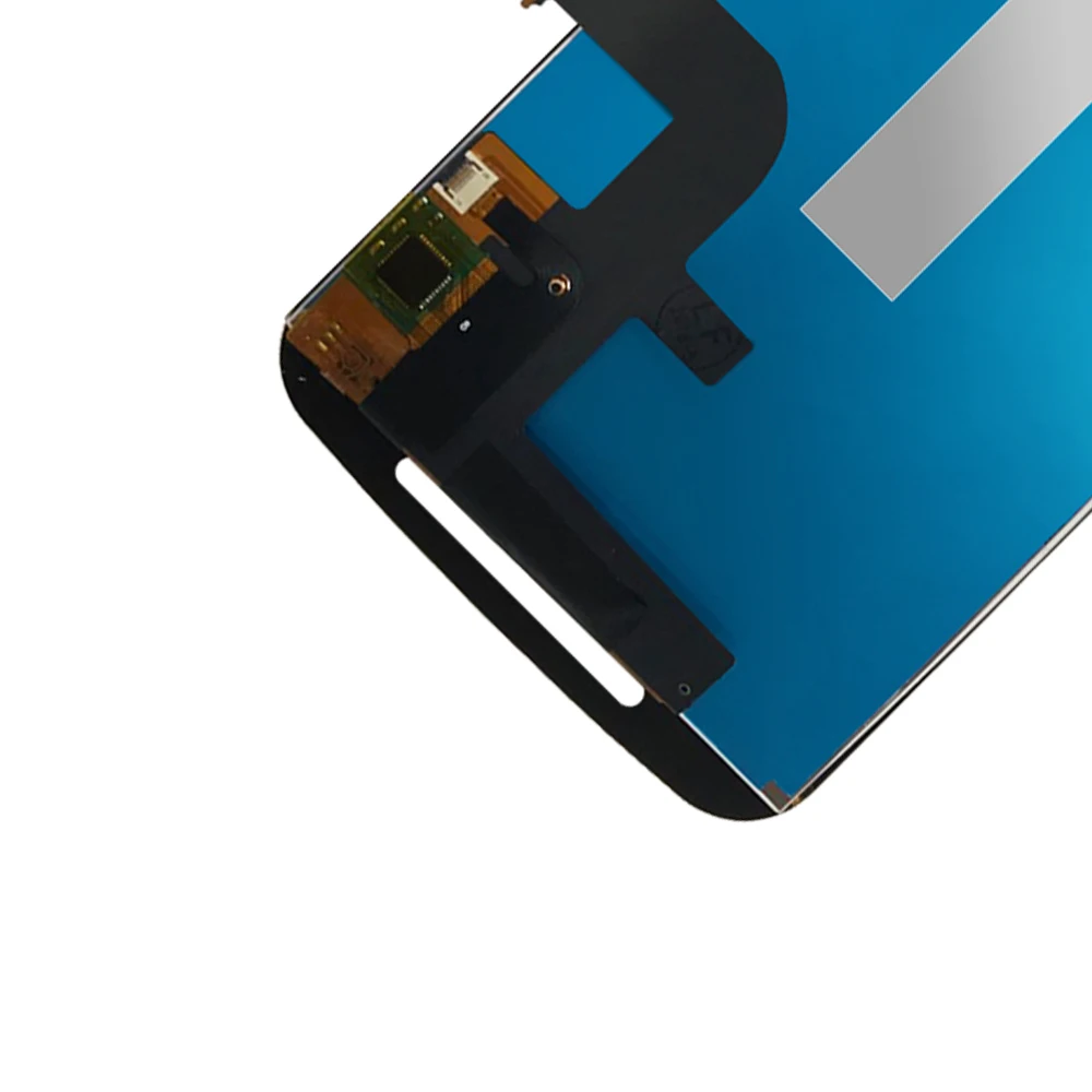 futu (4)