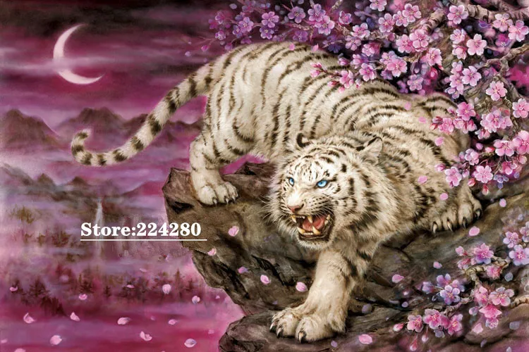 TB18Flis2uSBuNkHFqDXXXfhVXa_!!0-item_pic_副本