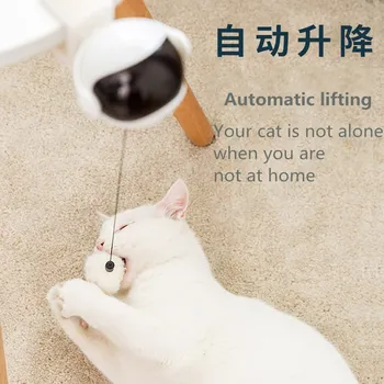 

Accompany for Pet Smart Control Toy Ball Pet Products Interactive Cat Toys Funny Ball Automatic Lifting Feather Cat Toys