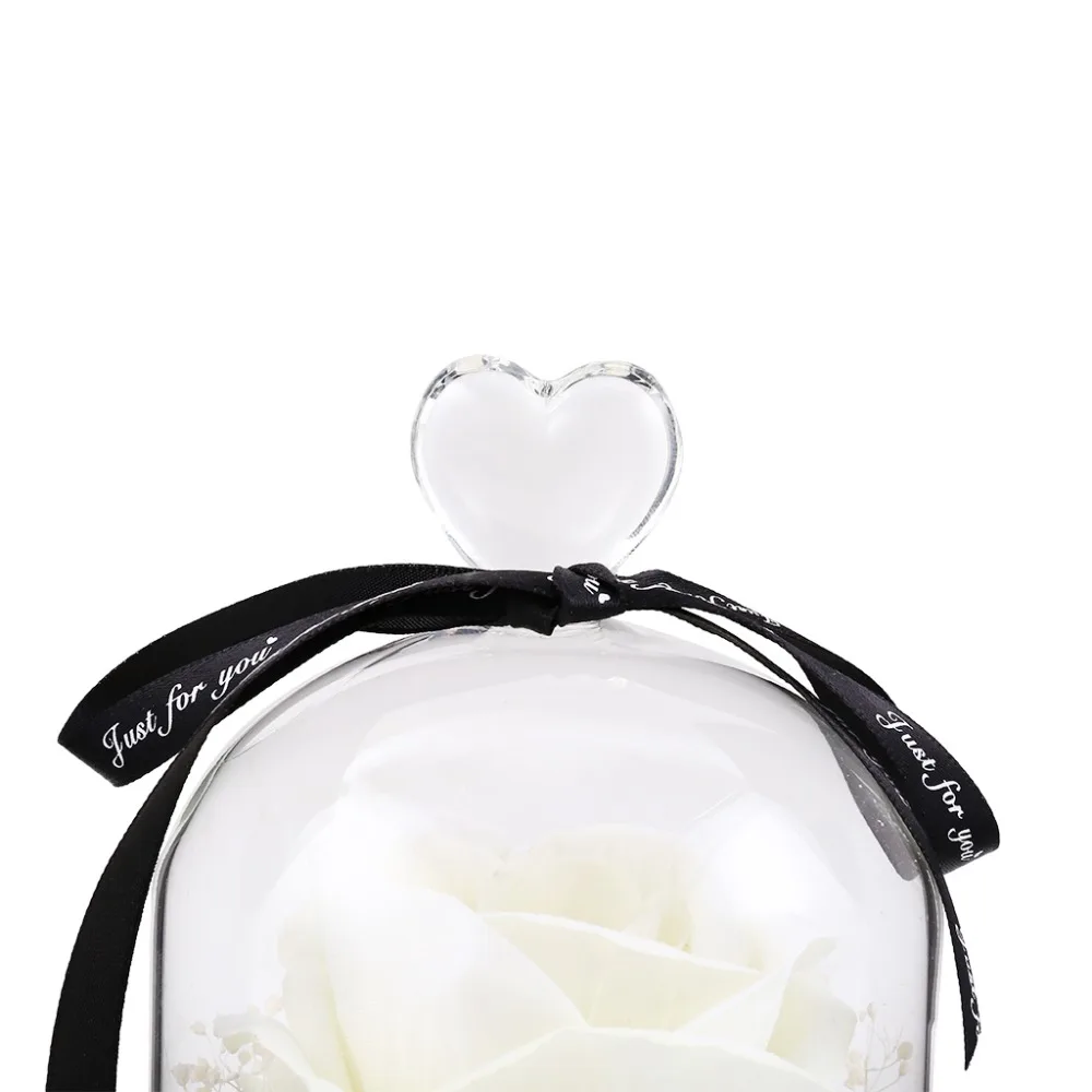 f27b7cdea656fb47202a5f55f4d66702