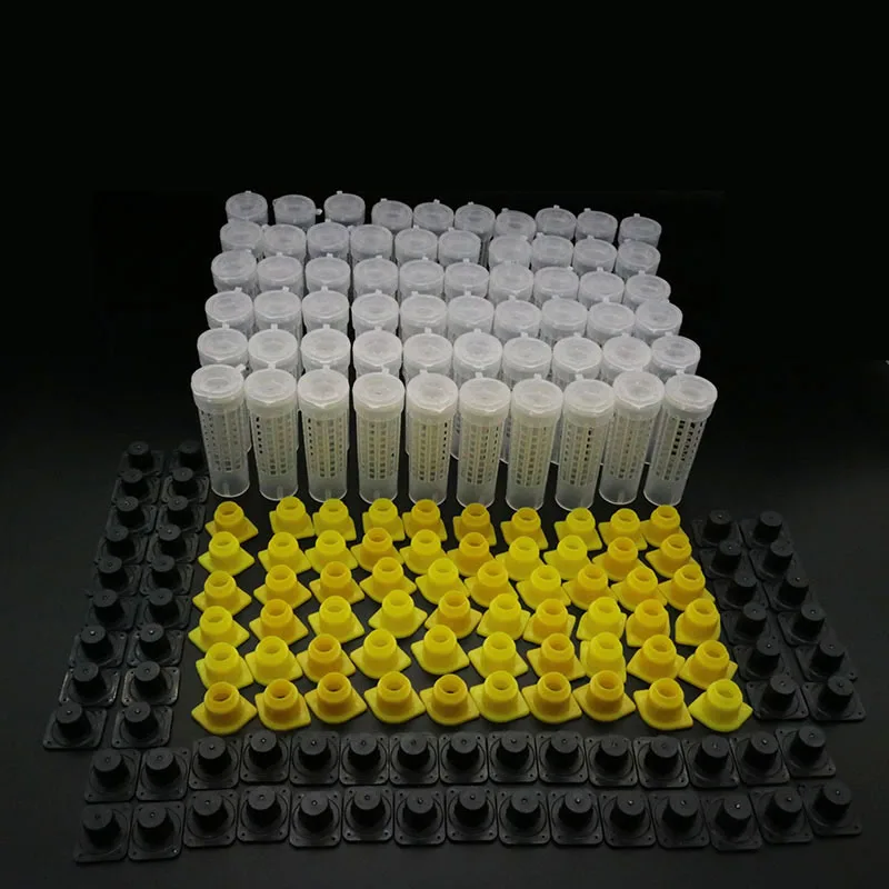 60PCS Professional Beekeeping Queen Cage Rearing Quality Protective Cover Catcher Plastic Bees Box Bees Tool Supplies