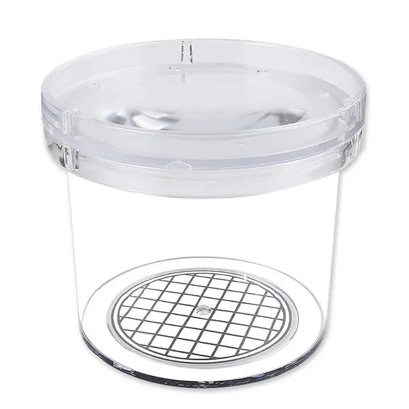 

Magnifying Insect Bug Viewer Critter Magnifier Science Nature Exploration Toys