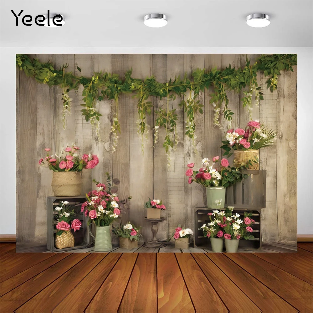 Yeele   ٴ    Ƽ  Decro    Photozone Photophone ǰ